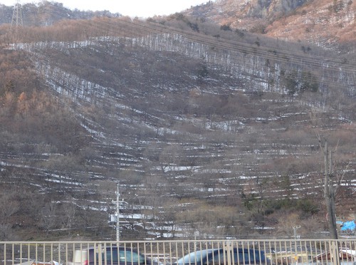 蚕都上田：大雪で段々畑の桑園跡が「見える化」