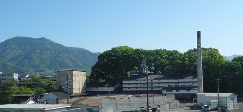 新緑が美しい旧常田館製糸場